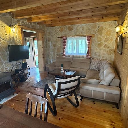 Vacation Home Andjelic Жабляк Экстерьер фото